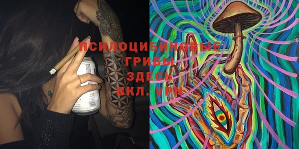стафф Абаза