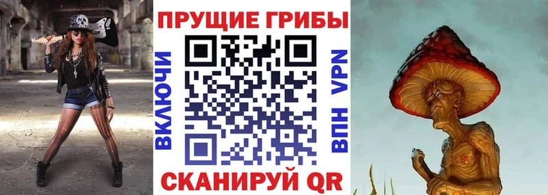 Галлюциногенные грибы Cubensis  kraken зеркало  Донской 